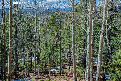 Photo of 336 Witherite Drive, Divide, CO 80814 (MLS # 5840041) Photo of 336 Witherite Drive, Divide, CO 80814 (MLS # 5840041)