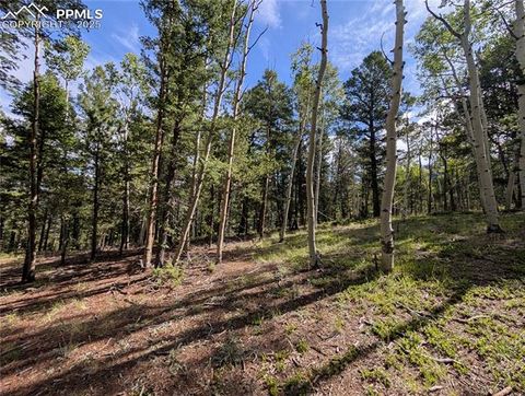 Photo of 60 Fluorite Lane, Divide, CO 80814 (MLS # 9063954)