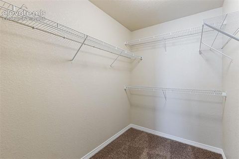 Tiny photo for 7916 Lightwood Way, Colorado Springs, CO 80908 (MLS # 5479989)