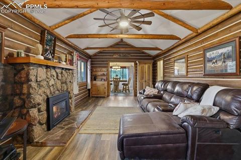 Tiny photo for 9445 Mohawk Trail, Cascade, CO 80809 (MLS # 4422481)