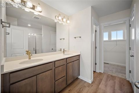 Tiny photo for 11991 Lake Trout Drive, Colorado Springs, CO 80925 (MLS # 1466297)