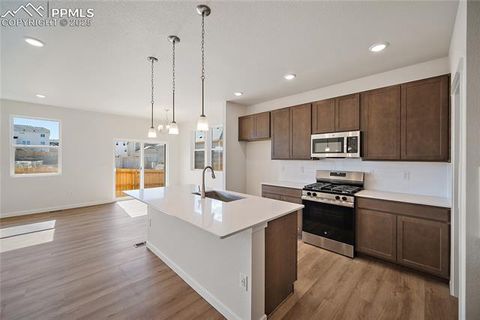 Tiny photo for 11991 Lake Trout Drive, Colorado Springs, CO 80925 (MLS # 1466297)