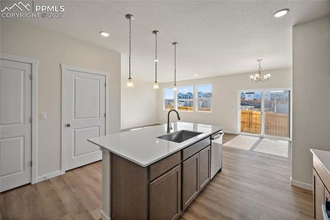 Tiny photo for 11991 Lake Trout Drive, Colorado Springs, CO 80925 (MLS # 1466297)