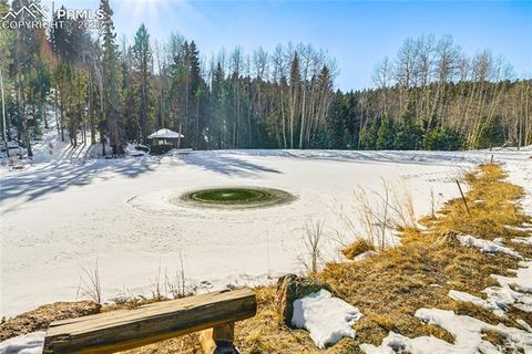 Tiny photo for 528 Mohawk Heights, Florissant, CO 80816 (MLS # 8220457)