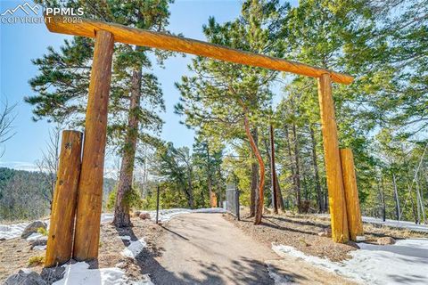 Tiny photo for 528 Mohawk Heights, Florissant, CO 80816 (MLS # 8220457)