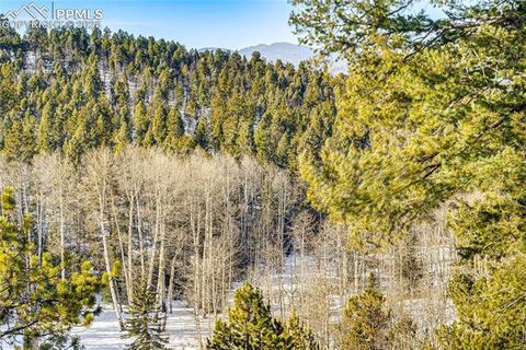 Tiny photo for 528 Mohawk Heights, Florissant, CO 80816 (MLS # 8220457)