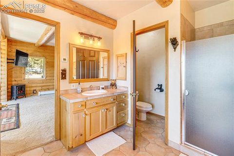 Tiny photo for 528 Mohawk Heights, Florissant, CO 80816 (MLS # 8220457)