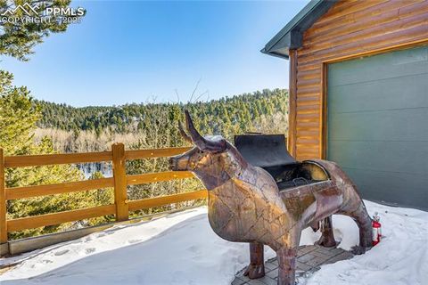 Tiny photo for 528 Mohawk Heights, Florissant, CO 80816 (MLS # 8220457)