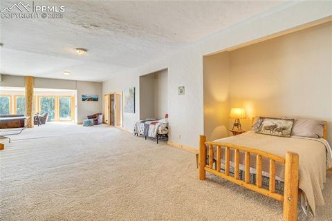 Tiny photo for 528 Mohawk Heights, Florissant, CO 80816 (MLS # 8220457)