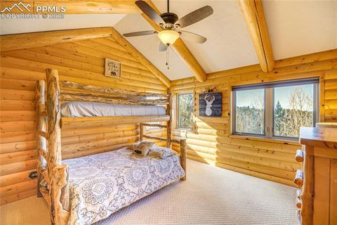 Tiny photo for 528 Mohawk Heights, Florissant, CO 80816 (MLS # 8220457)