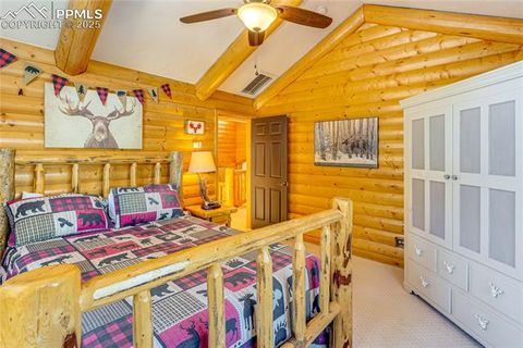 Tiny photo for 528 Mohawk Heights, Florissant, CO 80816 (MLS # 8220457)