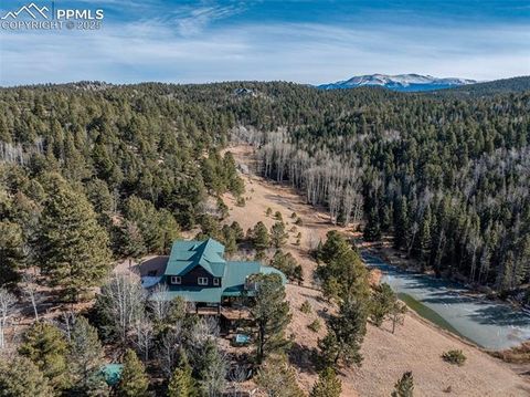 Tiny photo for 528 Mohawk Heights, Florissant, CO 80816 (MLS # 8220457)