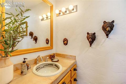 Tiny photo for 528 Mohawk Heights, Florissant, CO 80816 (MLS # 8220457)