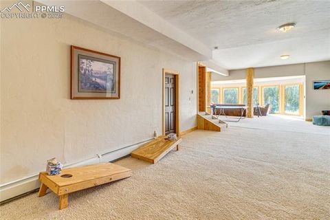 Tiny photo for 528 Mohawk Heights, Florissant, CO 80816 (MLS # 8220457)