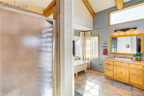 Tiny photo for 528 Mohawk Heights, Florissant, CO 80816 (MLS # 8220457)