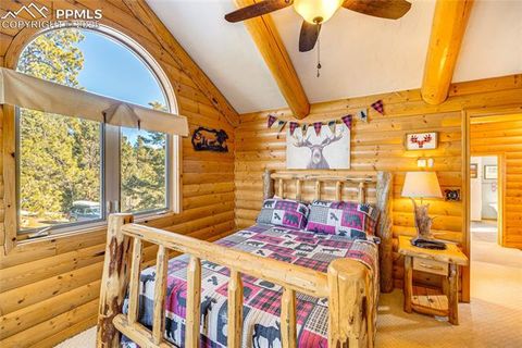 Tiny photo for 528 Mohawk Heights, Florissant, CO 80816 (MLS # 8220457)