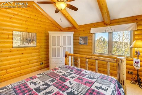 Tiny photo for 528 Mohawk Heights, Florissant, CO 80816 (MLS # 8220457)