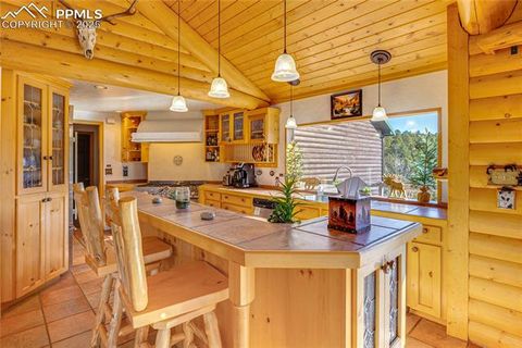 Tiny photo for 528 Mohawk Heights, Florissant, CO 80816 (MLS # 8220457)