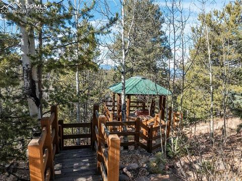 Tiny photo for 528 Mohawk Heights, Florissant, CO 80816 (MLS # 8220457)
