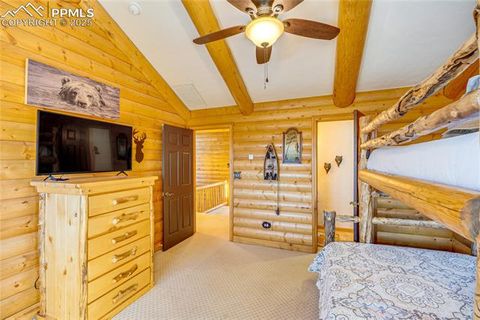 Tiny photo for 528 Mohawk Heights, Florissant, CO 80816 (MLS # 8220457)