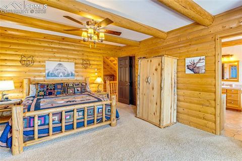Tiny photo for 528 Mohawk Heights, Florissant, CO 80816 (MLS # 8220457)