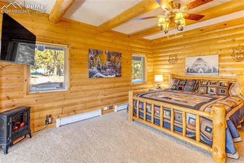 Tiny photo for 528 Mohawk Heights, Florissant, CO 80816 (MLS # 8220457)