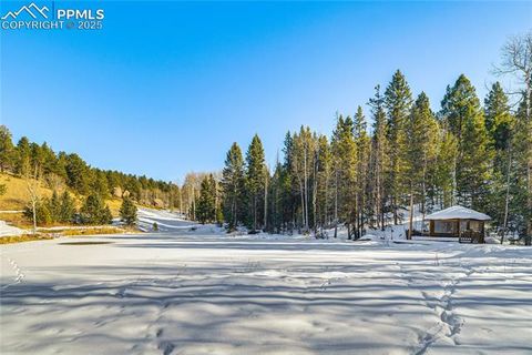 Tiny photo for 528 Mohawk Heights, Florissant, CO 80816 (MLS # 8220457)