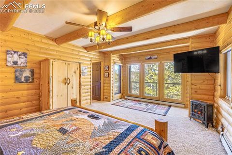 Tiny photo for 528 Mohawk Heights, Florissant, CO 80816 (MLS # 8220457)