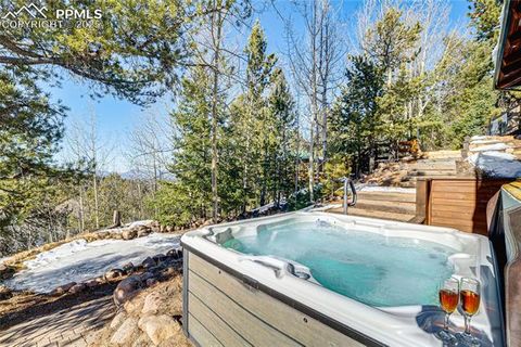Tiny photo for 528 Mohawk Heights, Florissant, CO 80816 (MLS # 8220457)