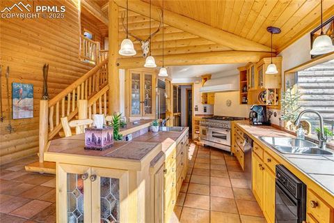 Tiny photo for 528 Mohawk Heights, Florissant, CO 80816 (MLS # 8220457)