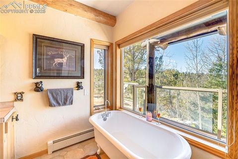 Tiny photo for 528 Mohawk Heights, Florissant, CO 80816 (MLS # 8220457)