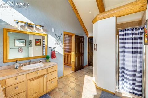 Tiny photo for 528 Mohawk Heights, Florissant, CO 80816 (MLS # 8220457)