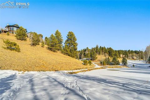 Tiny photo for 528 Mohawk Heights, Florissant, CO 80816 (MLS # 8220457)