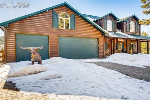 Tiny photo for 528 Mohawk Heights, Florissant, CO 80816 (MLS # 8220457)