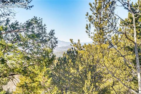 Tiny photo for 528 Mohawk Heights, Florissant, CO 80816 (MLS # 8220457)