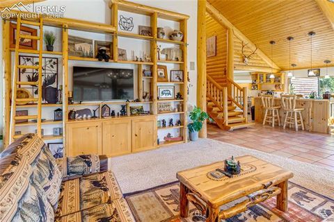 Tiny photo for 528 Mohawk Heights, Florissant, CO 80816 (MLS # 8220457)
