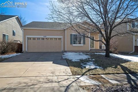 Photo of 2532 Pony Tracks Drive, Colorado Springs, CO 80922 (MLS # 1981309)