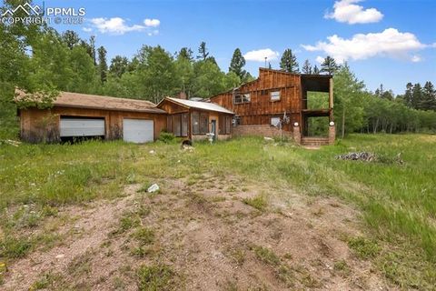 Tiny photo for 238 Forest Lane, Florissant, CO 80816 (MLS # 2397268)