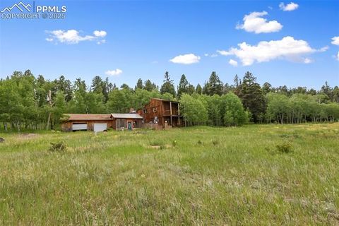 Tiny photo for 238 Forest Lane, Florissant, CO 80816 (MLS # 2397268)