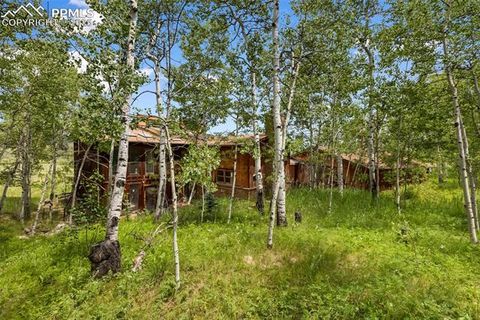 Tiny photo for 238 Forest Lane, Florissant, CO 80816 (MLS # 2397268)