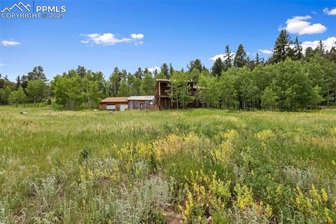 Tiny photo for 238 Forest Lane, Florissant, CO 80816 (MLS # 2397268)