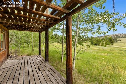 Tiny photo for 238 Forest Lane, Florissant, CO 80816 (MLS # 2397268)