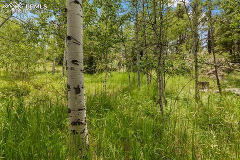 Tiny photo for 238 Forest Lane, Florissant, CO 80816 (MLS # 2397268)