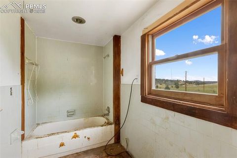 Tiny photo for 238 Forest Lane, Florissant, CO 80816 (MLS # 2397268)
