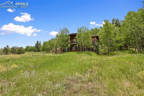 Tiny photo for 238 Forest Lane, Florissant, CO 80816 (MLS # 2397268)