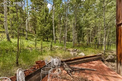 Tiny photo for 238 Forest Lane, Florissant, CO 80816 (MLS # 2397268)