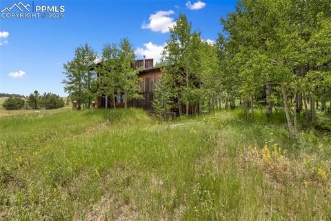 Tiny photo for 238 Forest Lane, Florissant, CO 80816 (MLS # 2397268)
