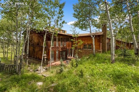 Photo of 238 Forest Lane, Florissant, CO 80816 (MLS # 2397268)