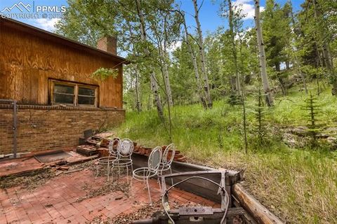 Tiny photo for 238 Forest Lane, Florissant, CO 80816 (MLS # 2397268)