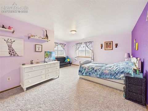 Tiny photo for 16125 Gold Creek Drive, Monument, CO 80132 (MLS # 6942627)